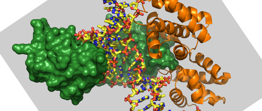 harvard chemical biology phd program